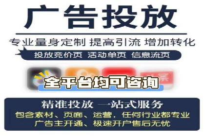 SEM推广策略：成功案例解析与效果评估
